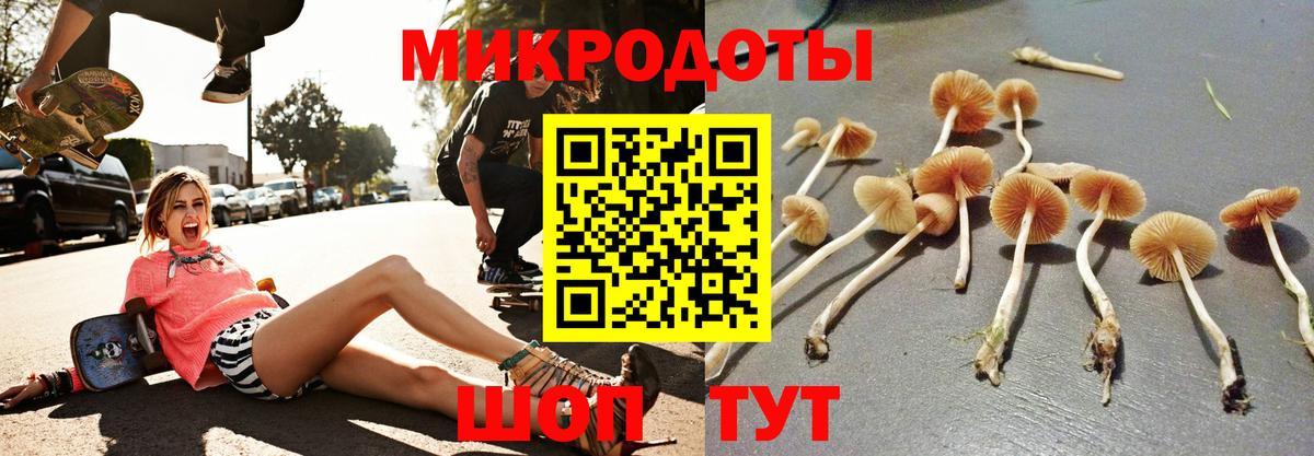 Галлюциногенные грибы Cubensis  Псилоцибиновые грибы мухоморы  Корсаков  Вход с VPN 