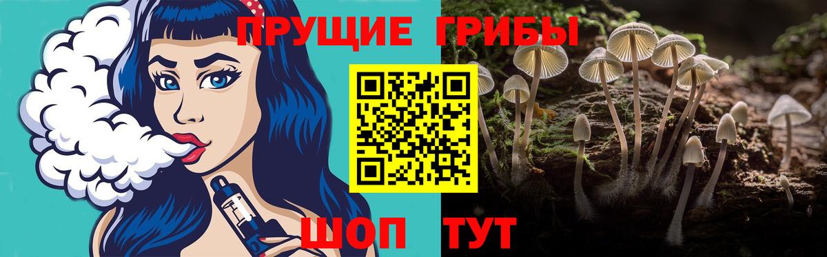 Галлюциногенные грибы GOLDEN TEACHER Корсаков